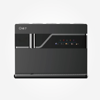 揚子牌 YZ-RO-100G(K6)